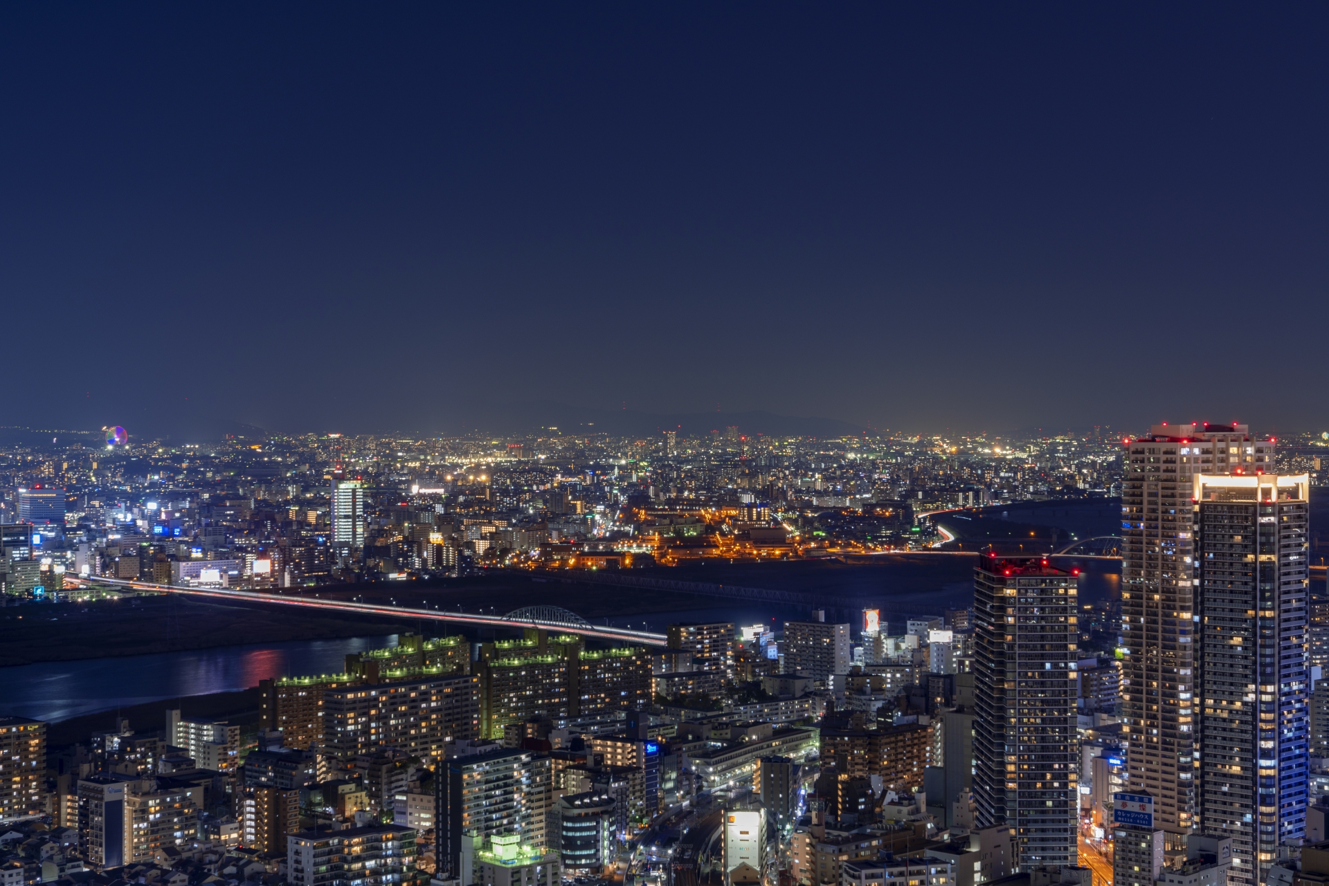 事業内容